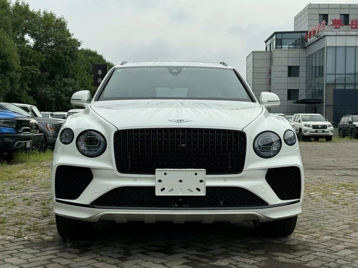 全新一代进口添越驾驶体验